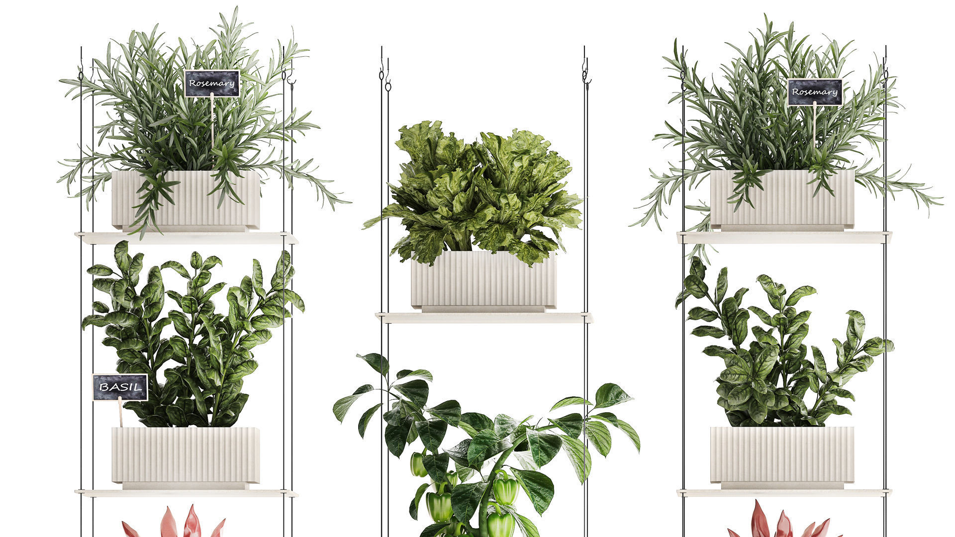 Mini kitchen garden Rosemary Basil vegetables pepper tomato 3D model_4