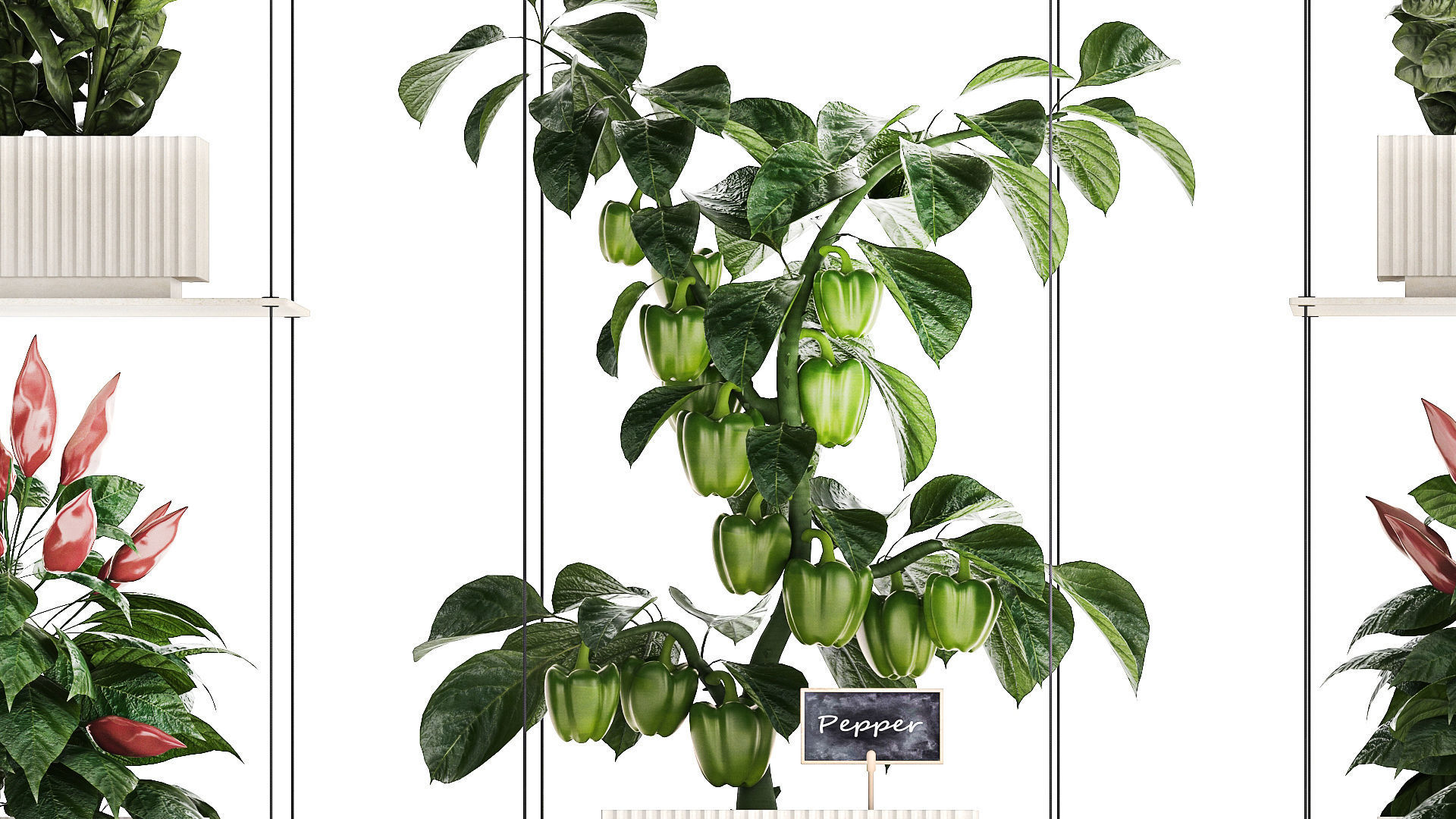 Mini kitchen garden Rosemary Basil vegetables pepper tomato 3D model_6