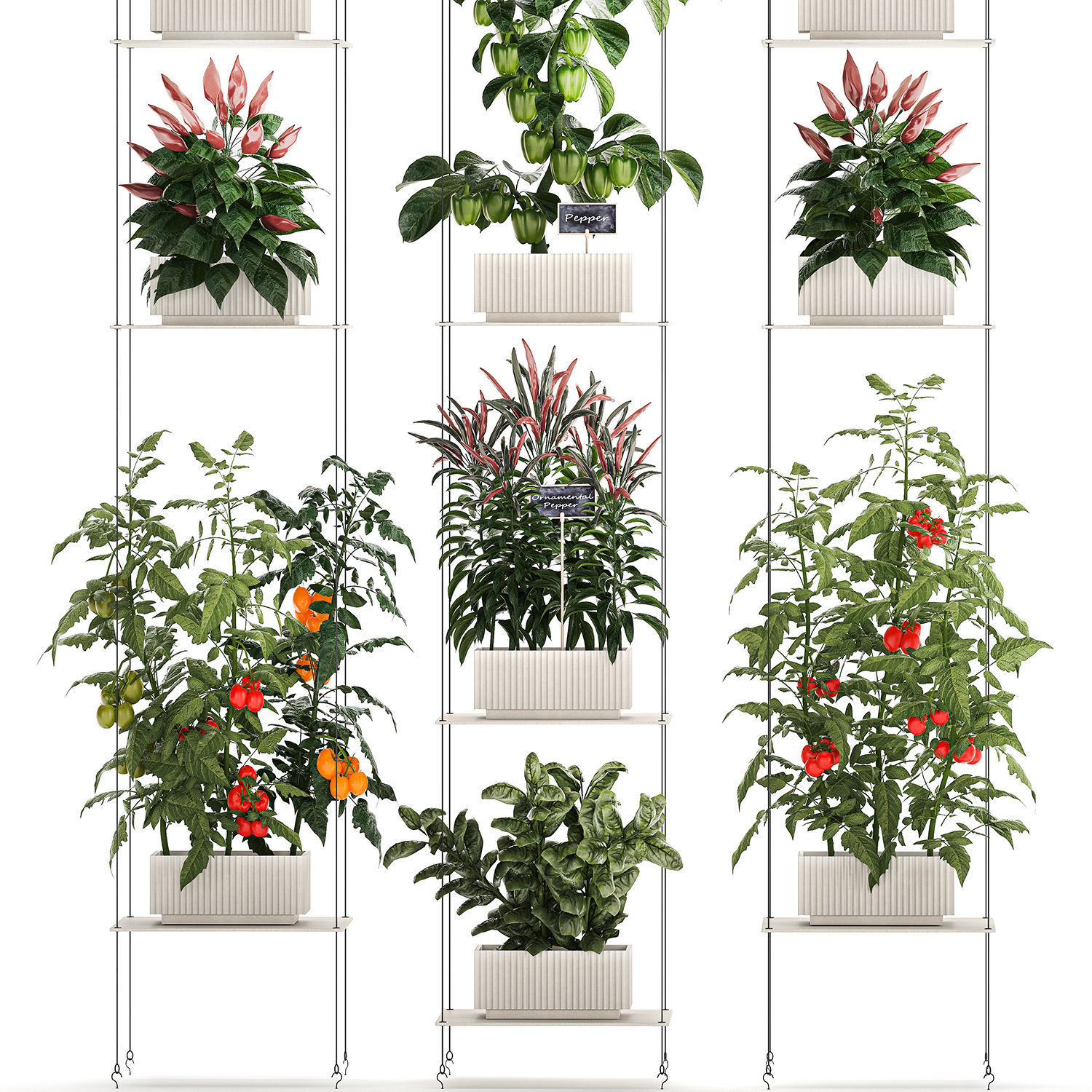 Mini kitchen garden Rosemary Basil vegetables pepper tomato 3D model_10