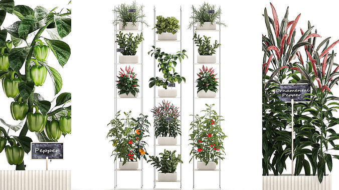 Mini kitchen garden Rosemary Basil vegetables pepper tomato 3D model