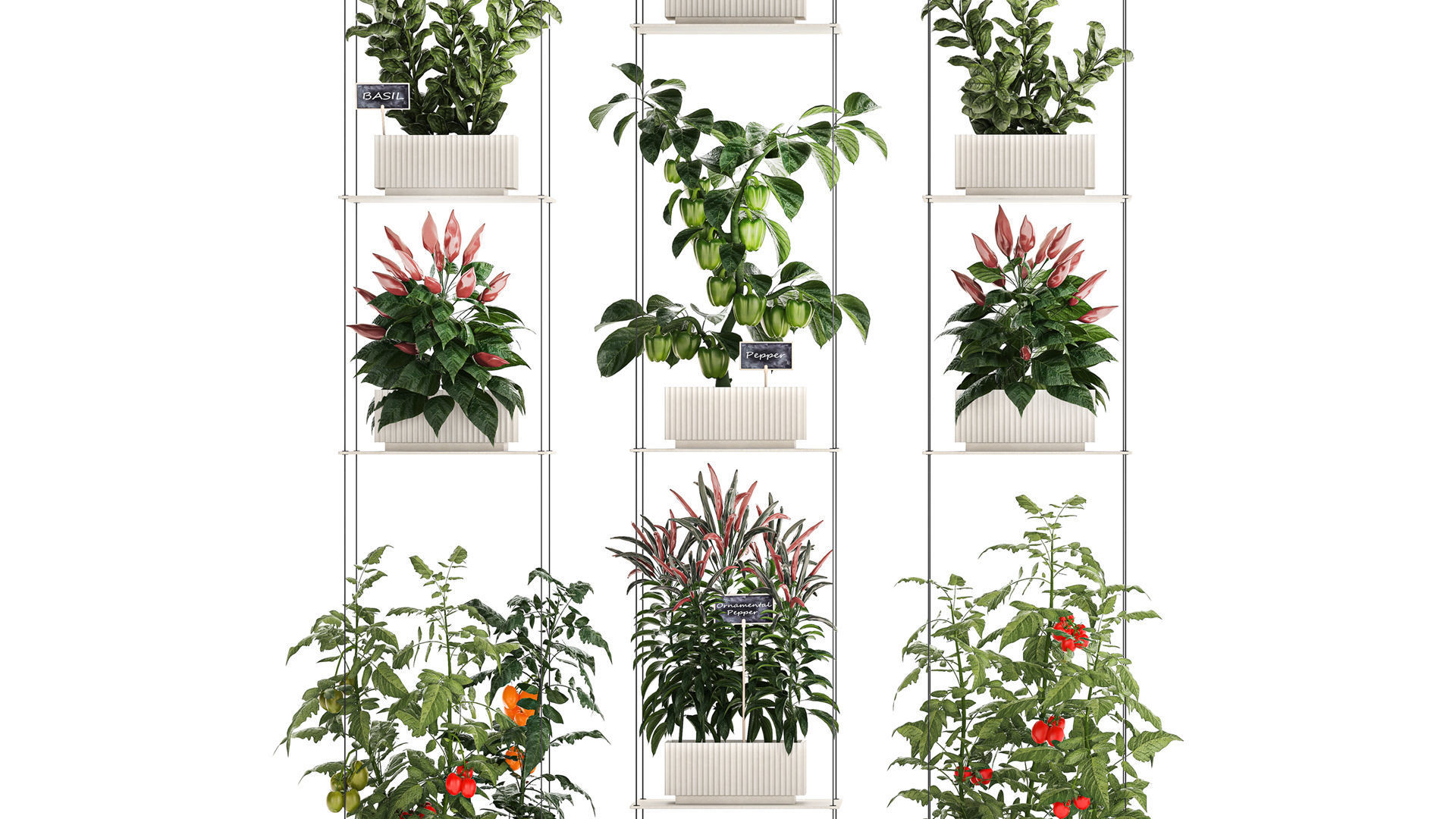 Mini kitchen garden Rosemary Basil vegetables pepper tomato 3D model_2