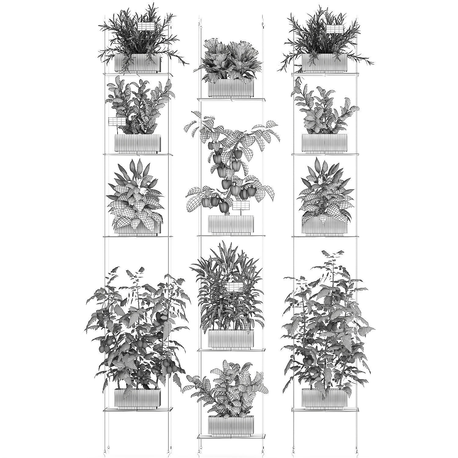 Mini kitchen garden Rosemary Basil vegetables pepper tomato 3D model_13