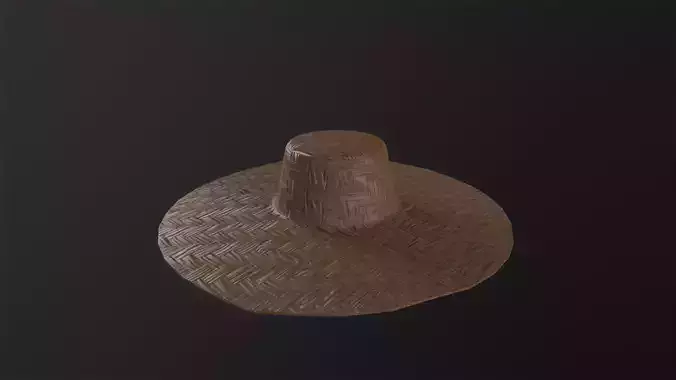 Farmers Hat 3D Modle
