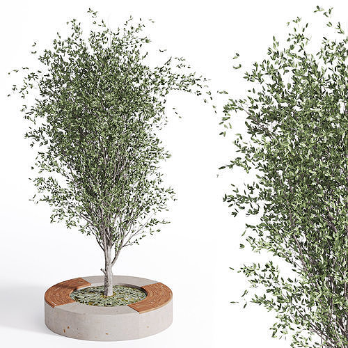 outdoor-plants-in-vase-003 3D model