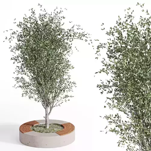 outdoor-plants-in-vase-003 3D model