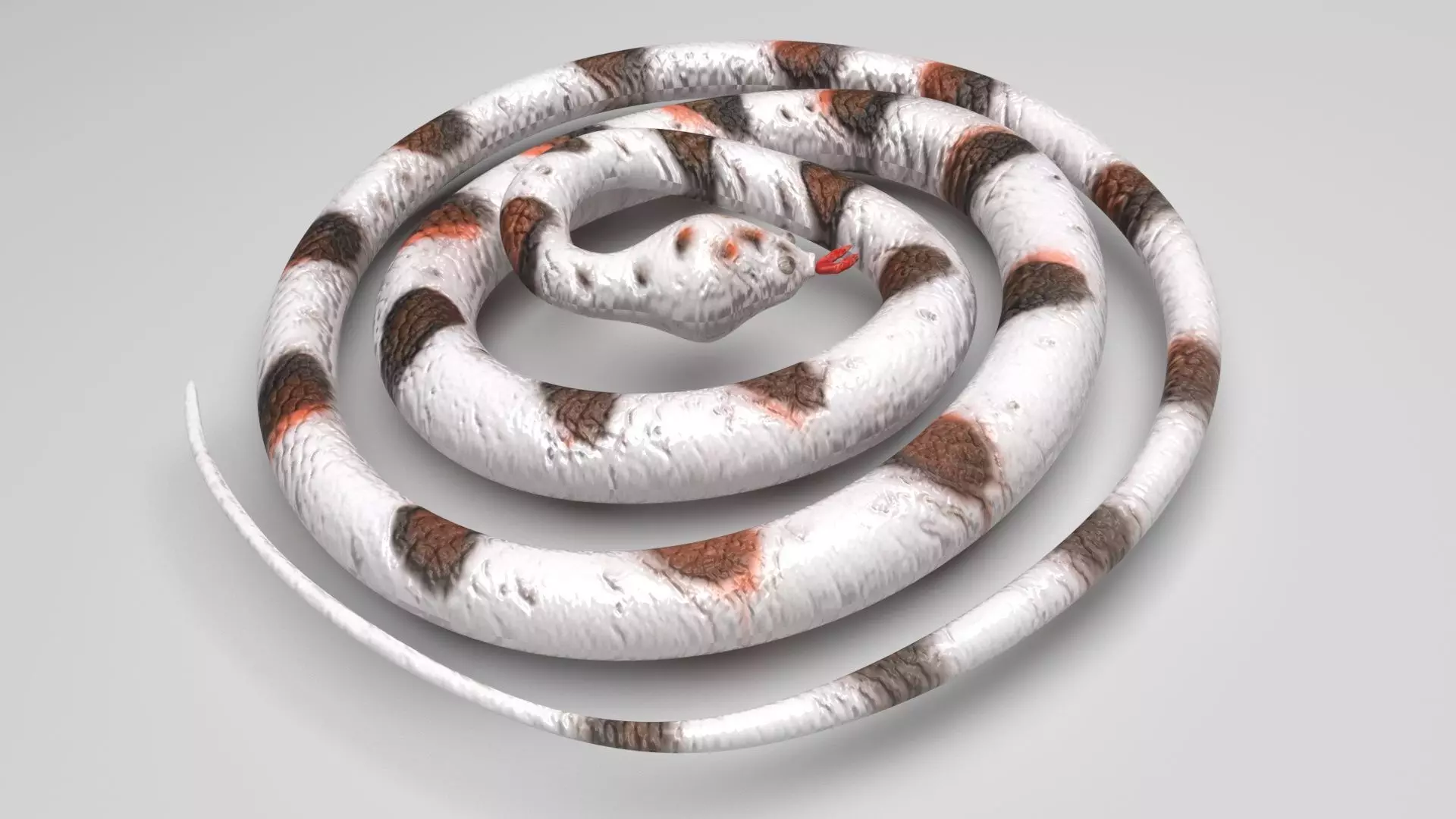 Rubber Snake 3D model