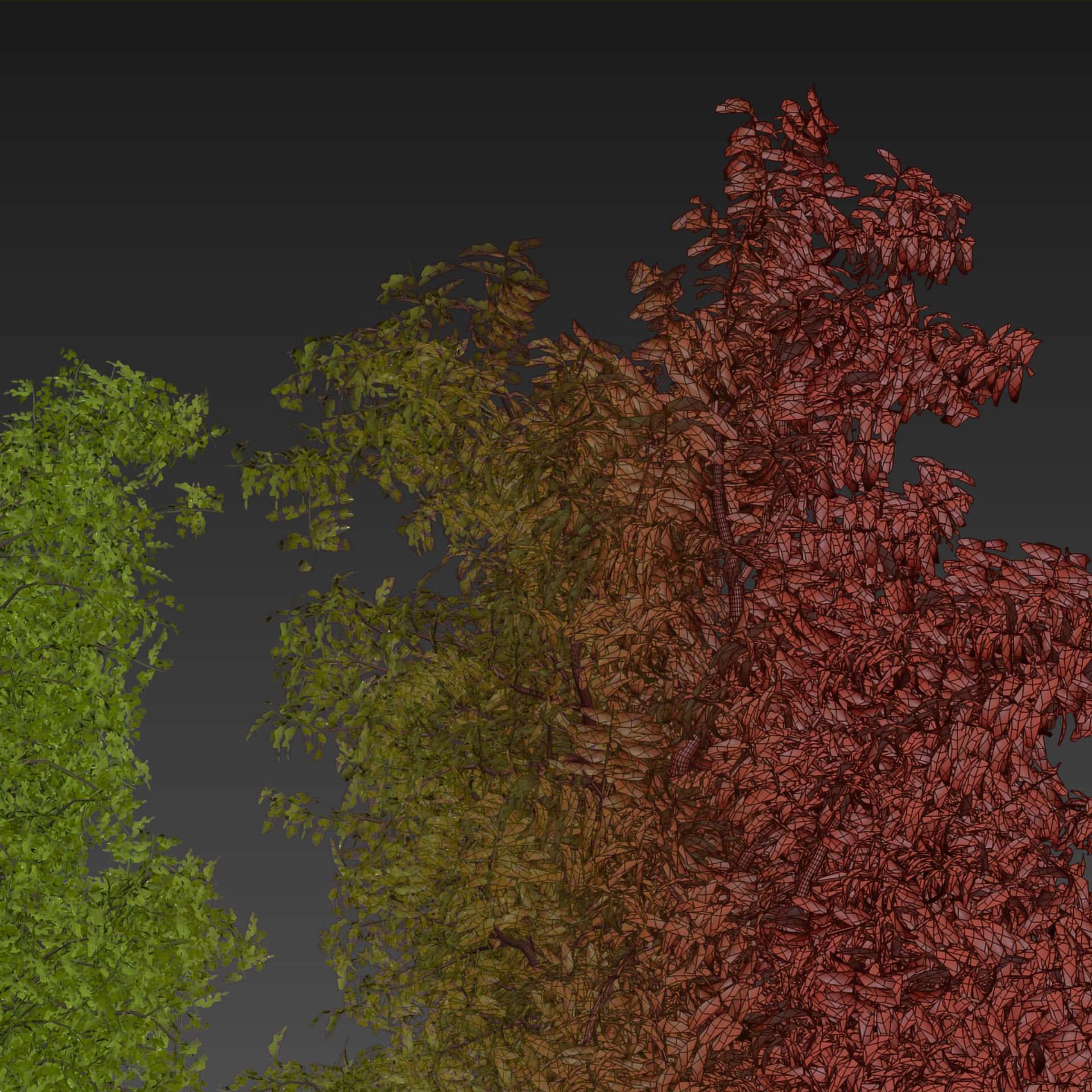 Collection plant vol 535 - tree - ash - Urban environment 3D model |  CGTrader