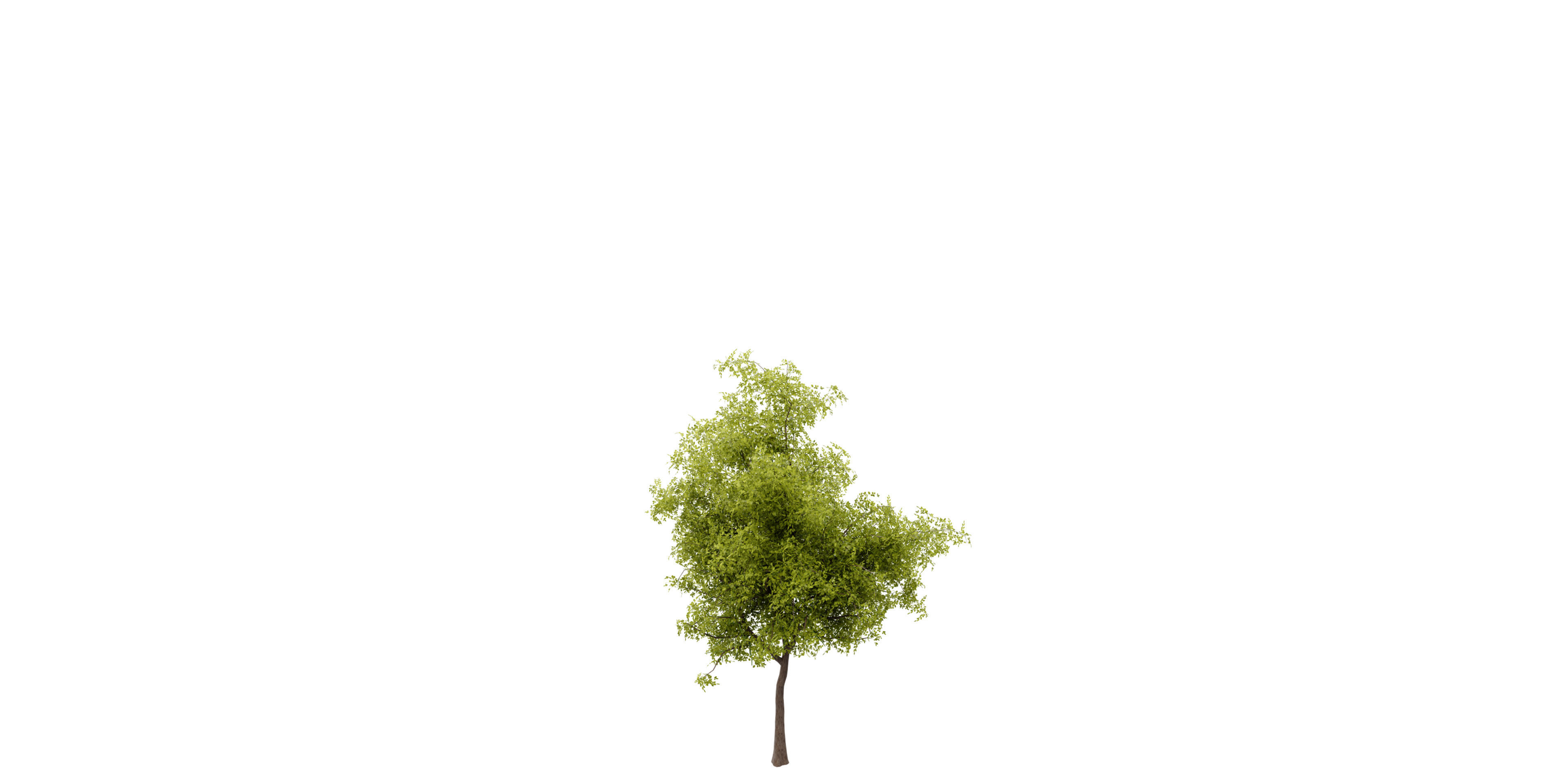 Collection plant vol 535 - blender model  3D model_3