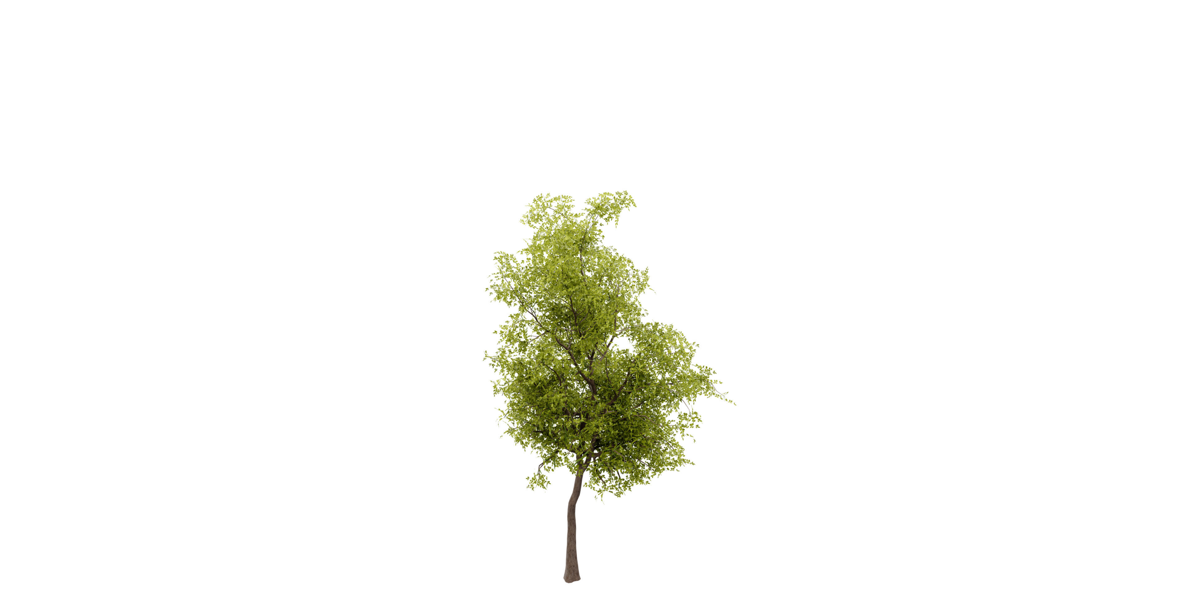 Collection plant vol 535 - blender model  3D model_2