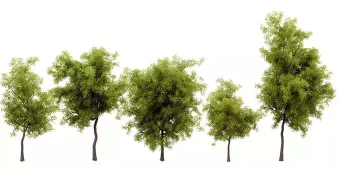 Collection plant vol 535 - blender model  3D model