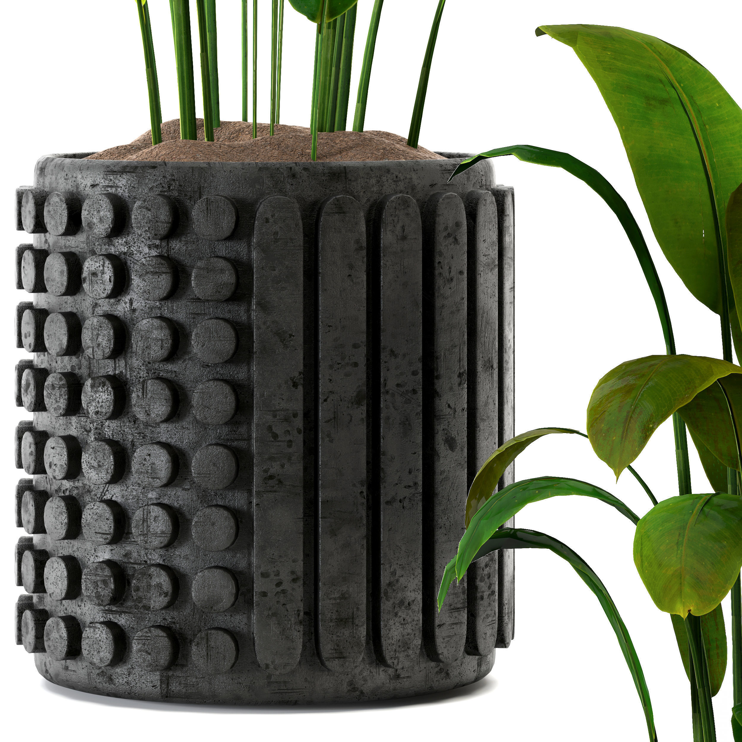 Indoorplant 01 Low-poly 3D model_1