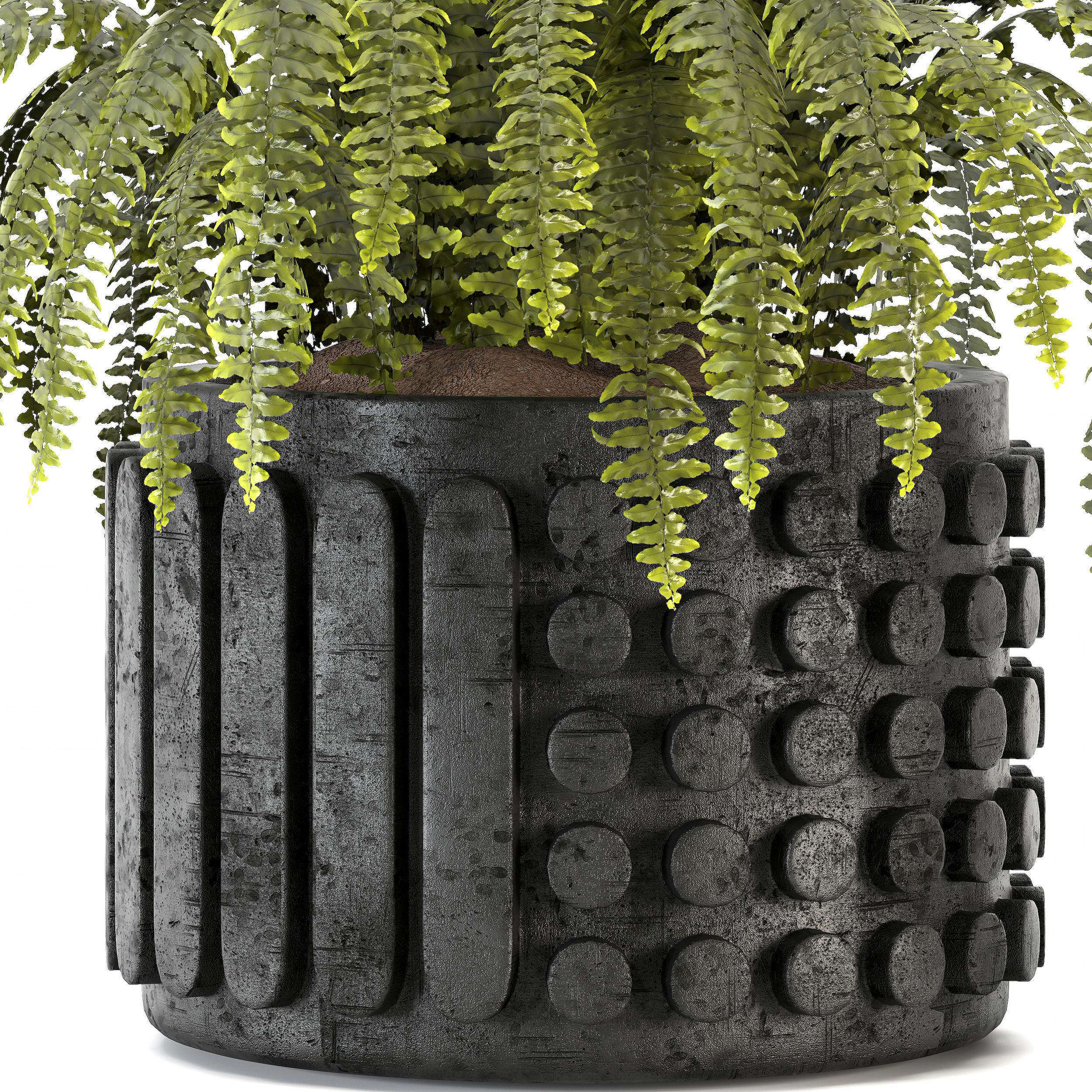 Indoorplant 01 Low-poly 3D model_2