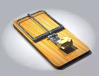 Mousetrap mouse trap