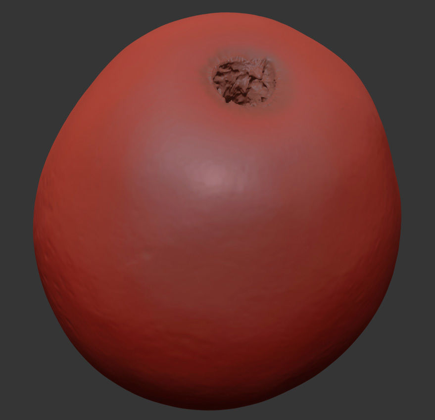 Grape 3D model_7