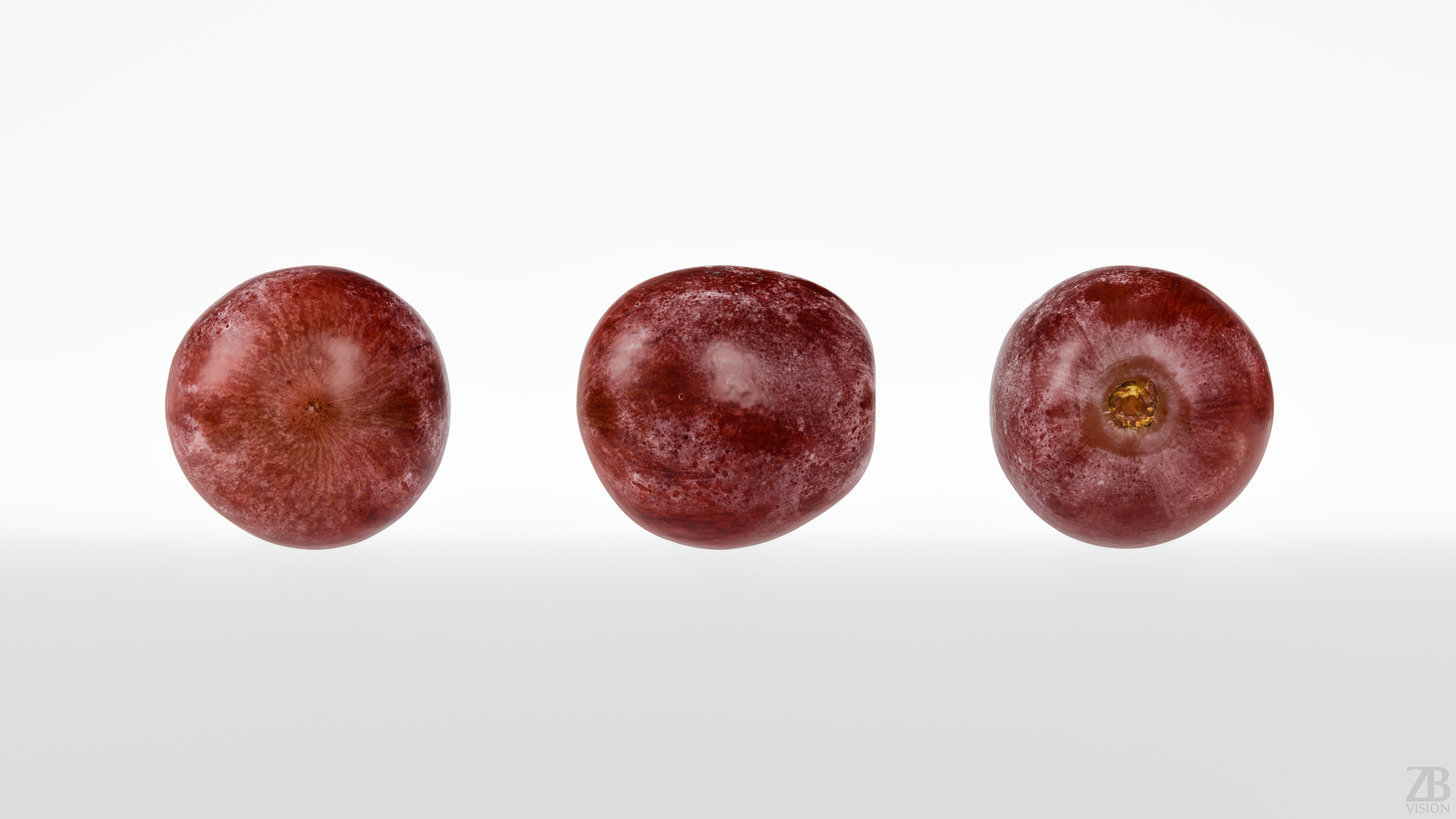 Grape 3D model_4