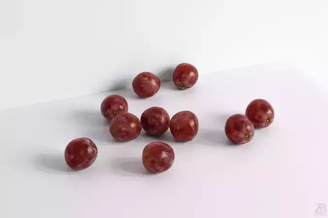 Grape 3D model