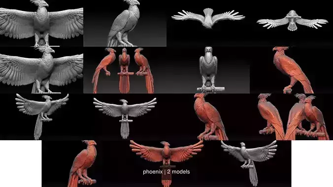phoenix 3D Model Collection