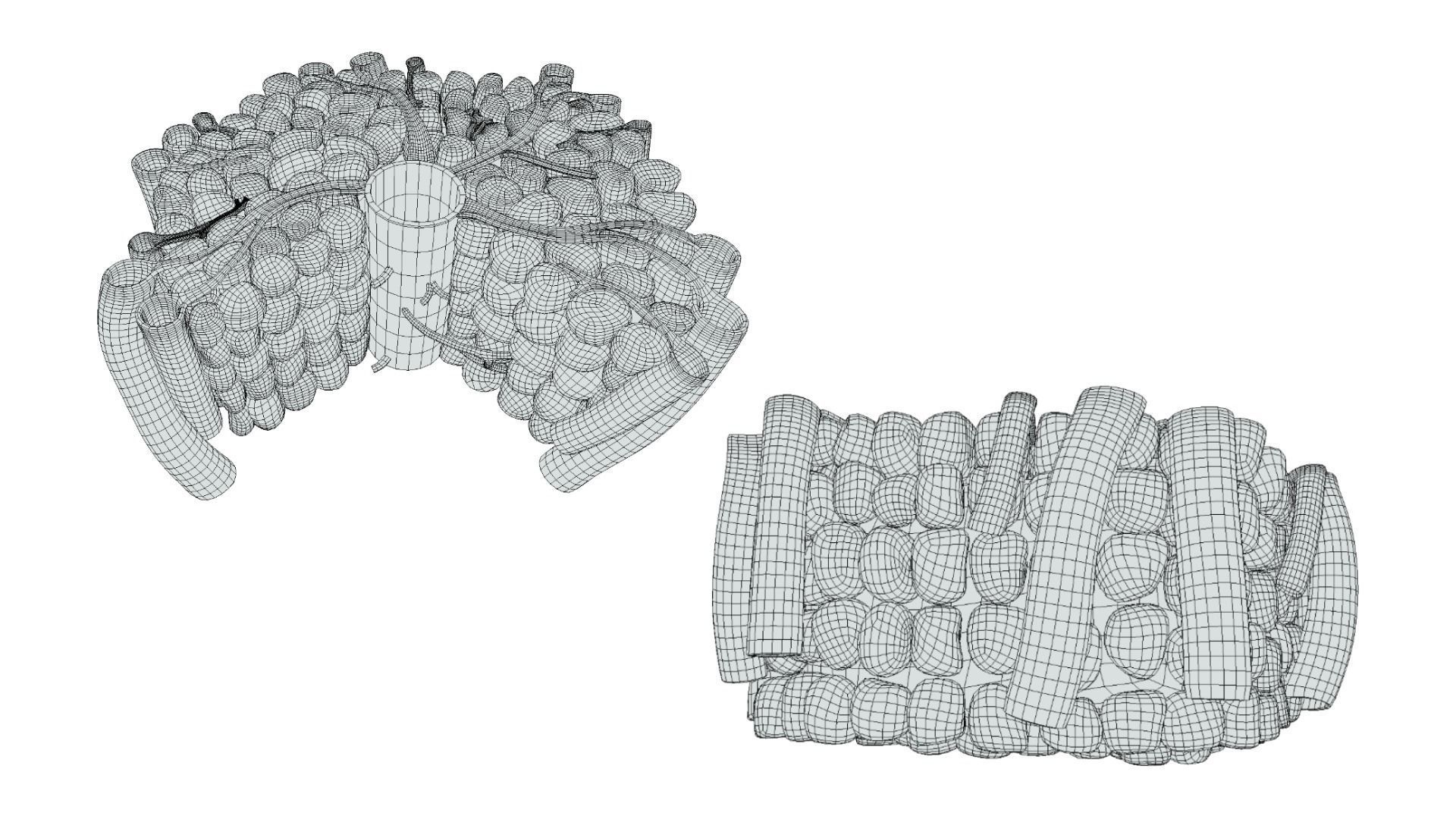 Hepatic Lobule Anatomy 3D model_7