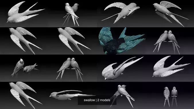 swallow 3D Model Collection