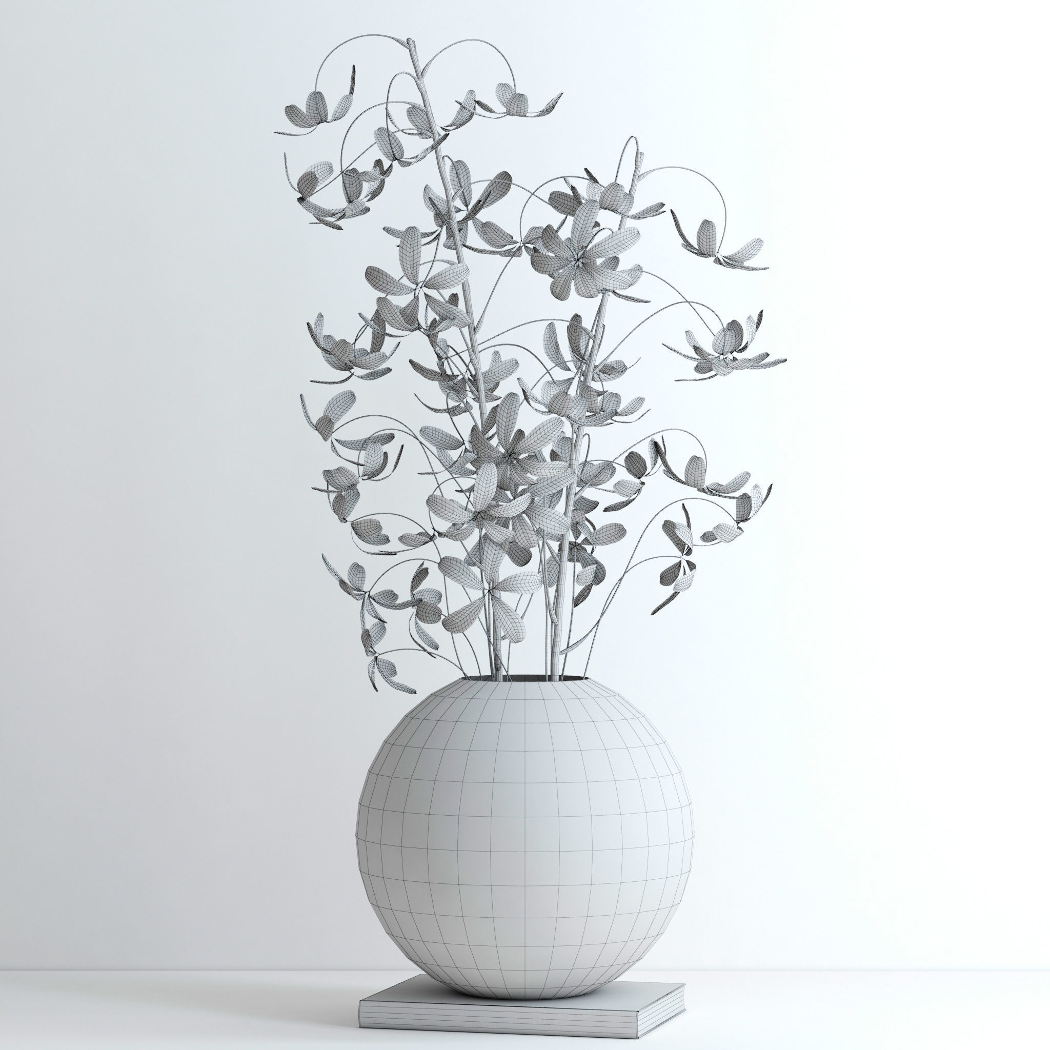 Schefflera Double 3D model_10