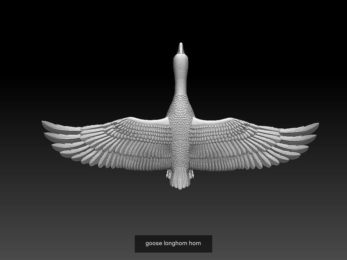 goose 3D Model Collection_2