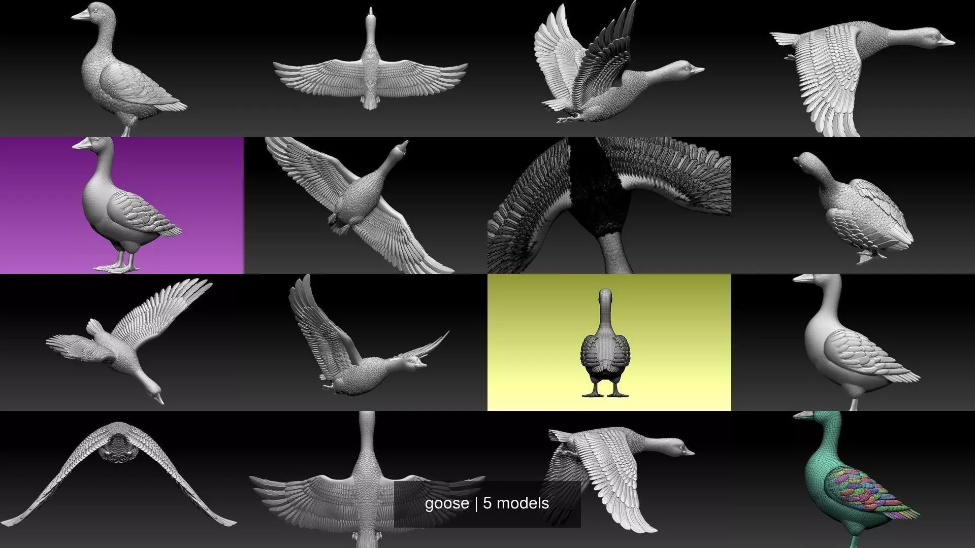 goose 3D Model Collection_0