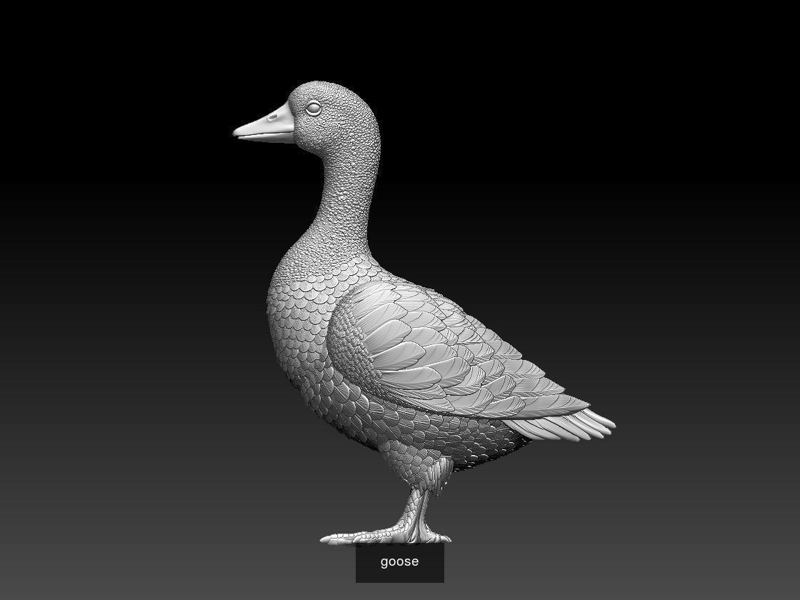 goose 3D Model Collection_1