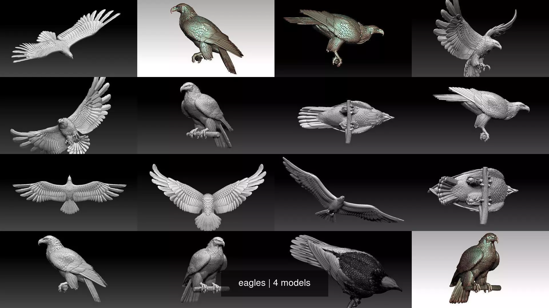 eagles 3D Model Collection_0