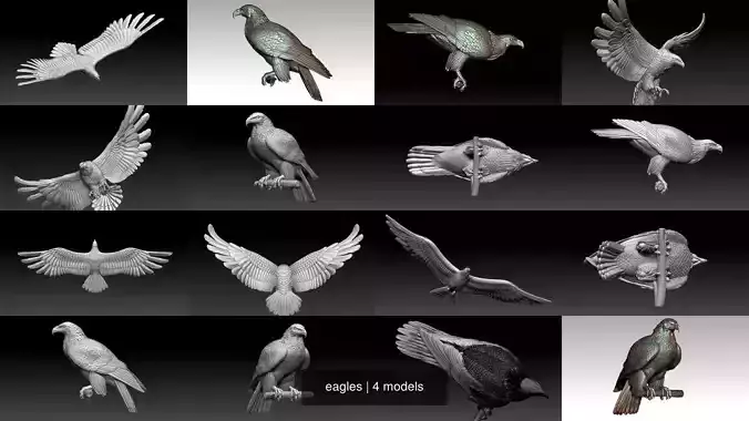 eagles 3D Model Collection
