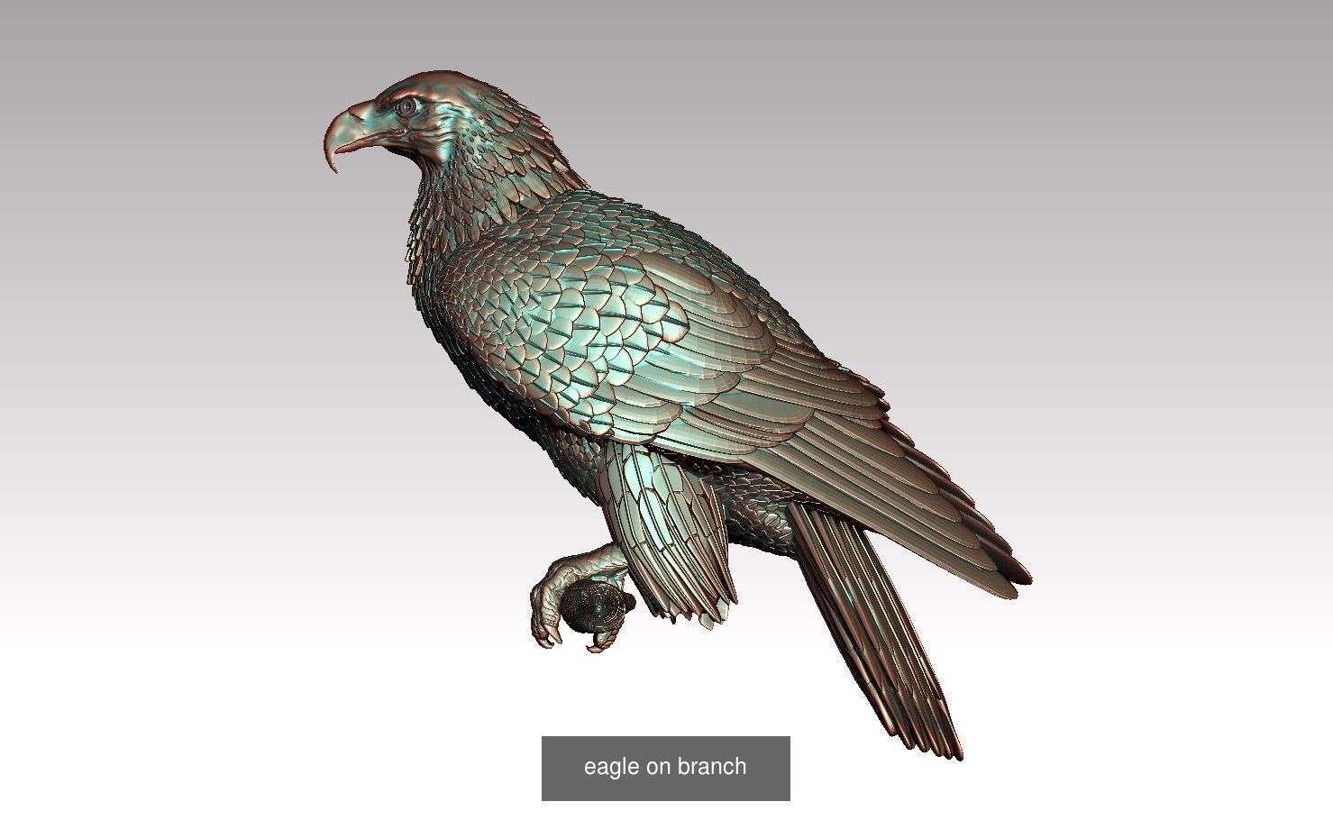 eagles 3D Model Collection_2
