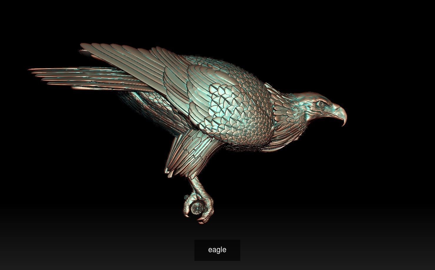 eagles 3D Model Collection_3