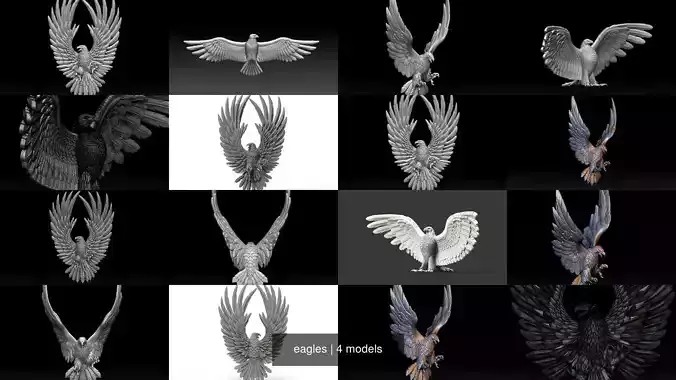 eagles 3D Model Collection