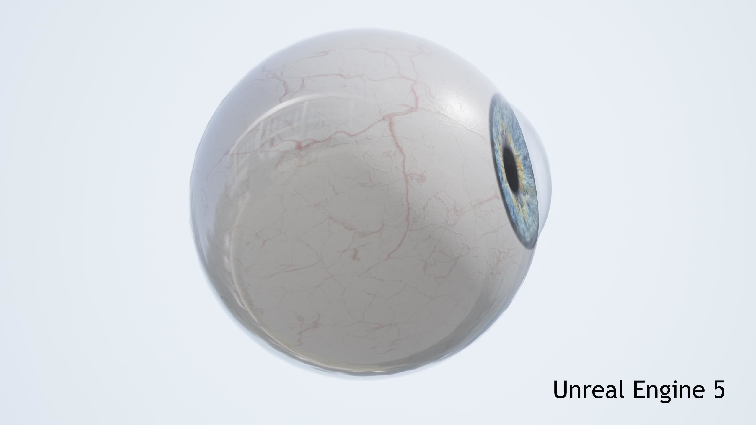 Human Eye Low-poly 3D model_16