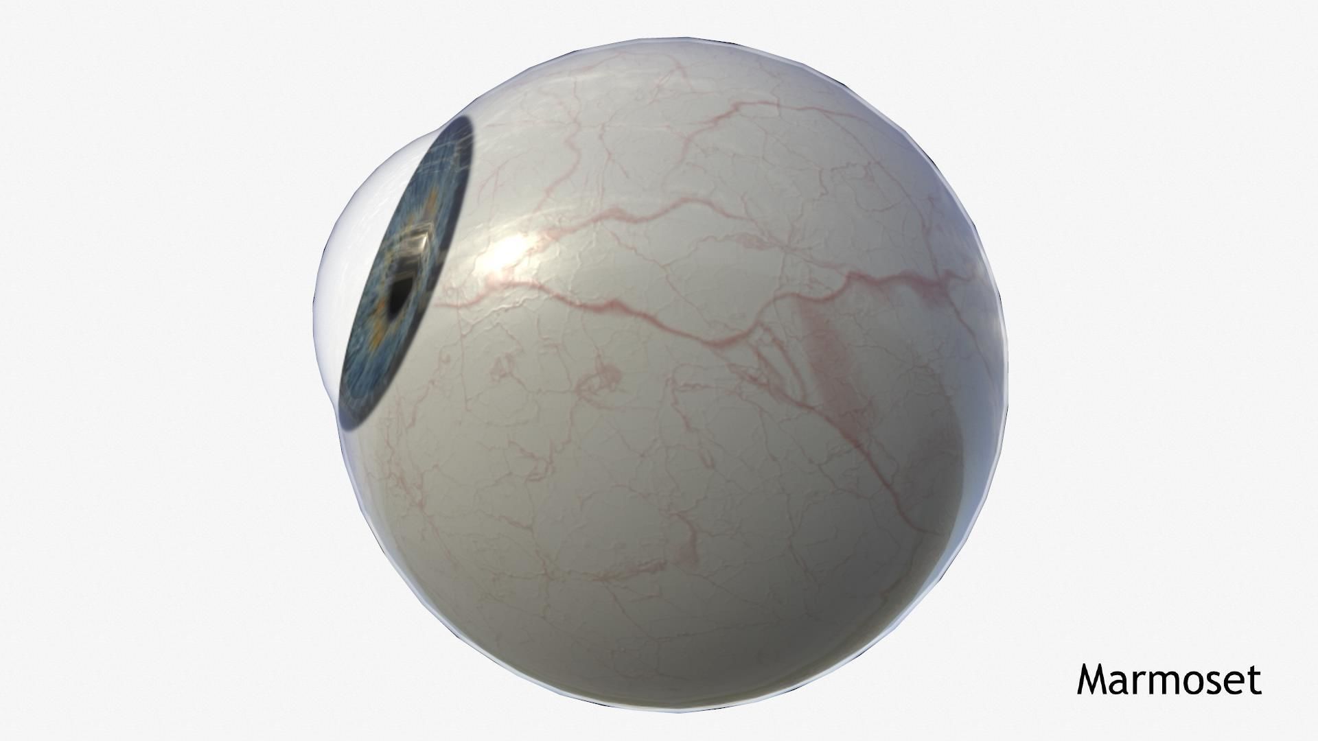 Human Eye Low-poly 3D model_6