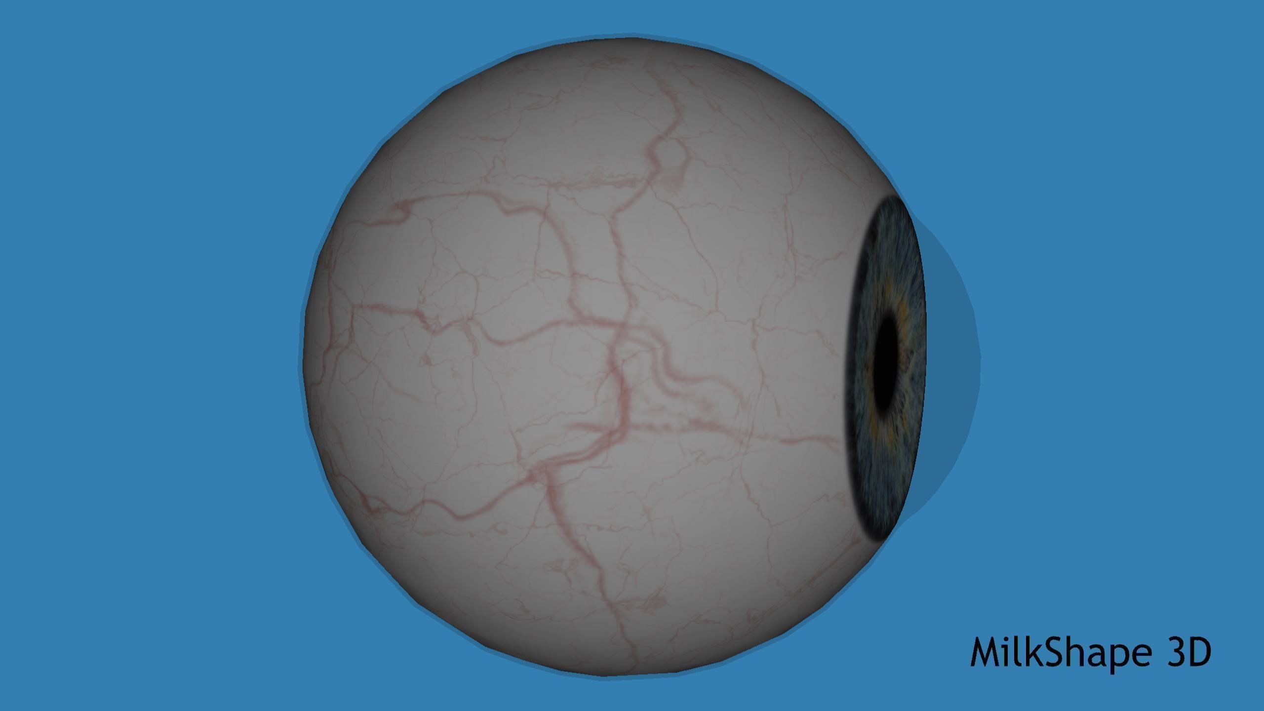 Human Eye Low-poly 3D model_19