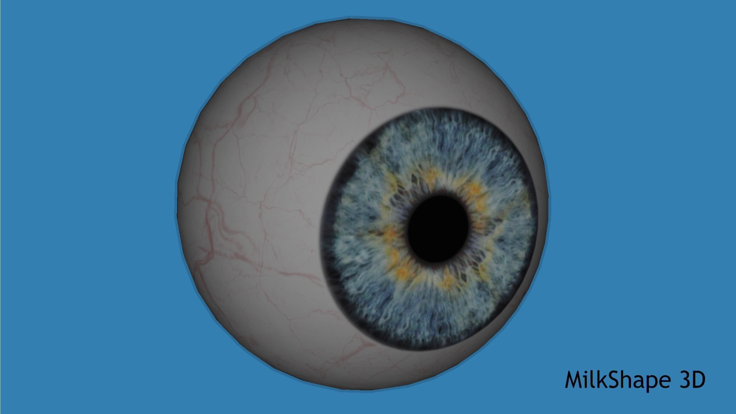 Human Eye Low-poly 3D model_18