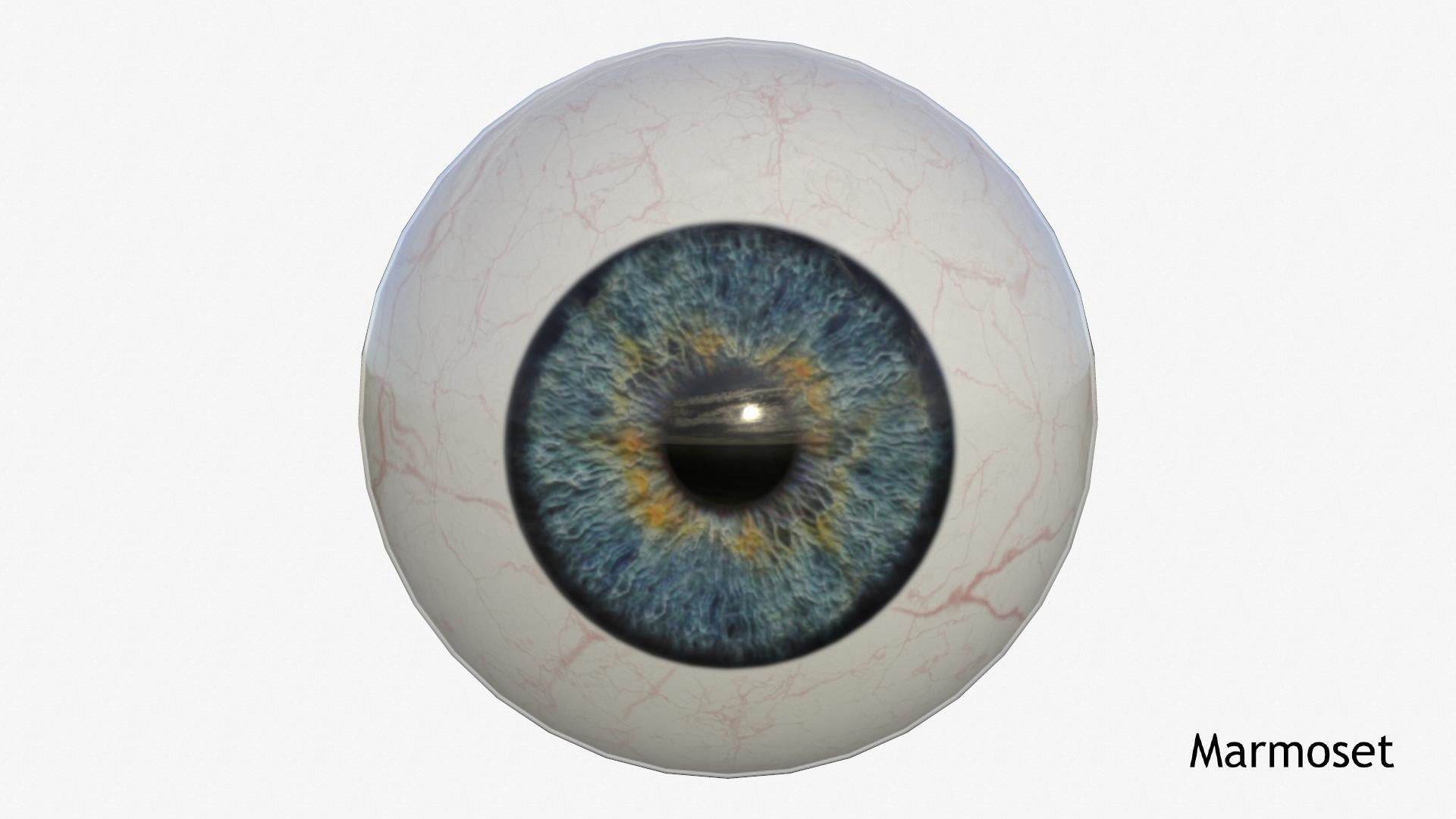 Human Eye Low-poly 3D model_4