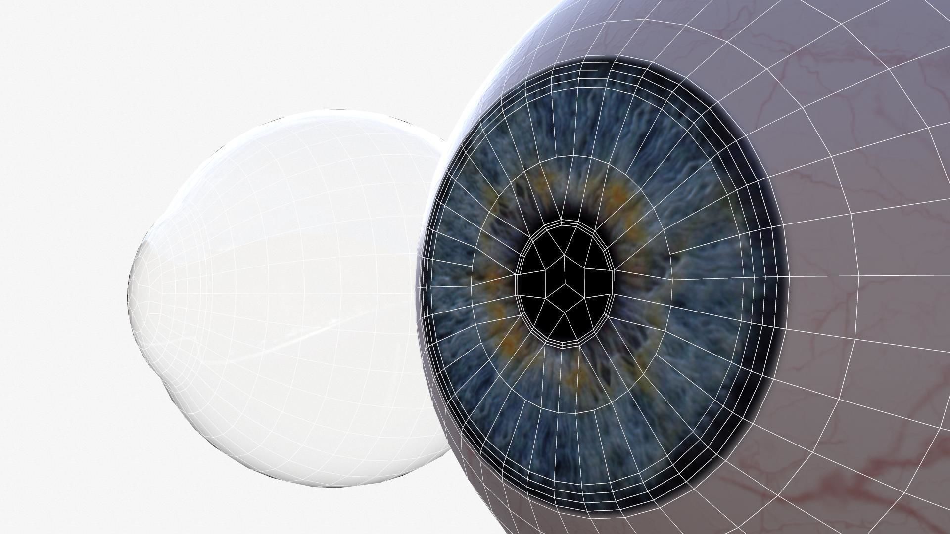 Human Eye Low-poly 3D model_29