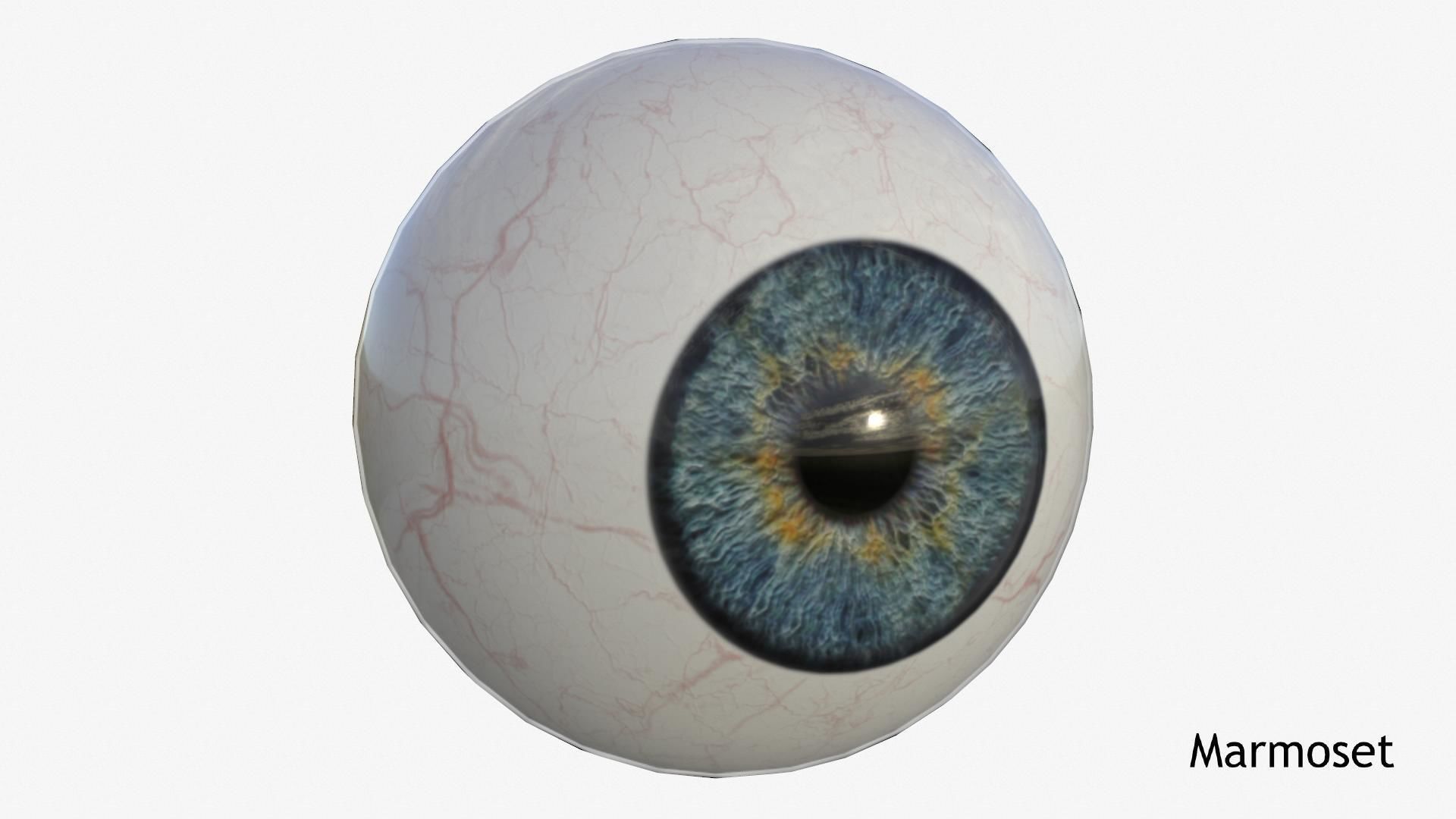 Human Eye Low-poly 3D model_3