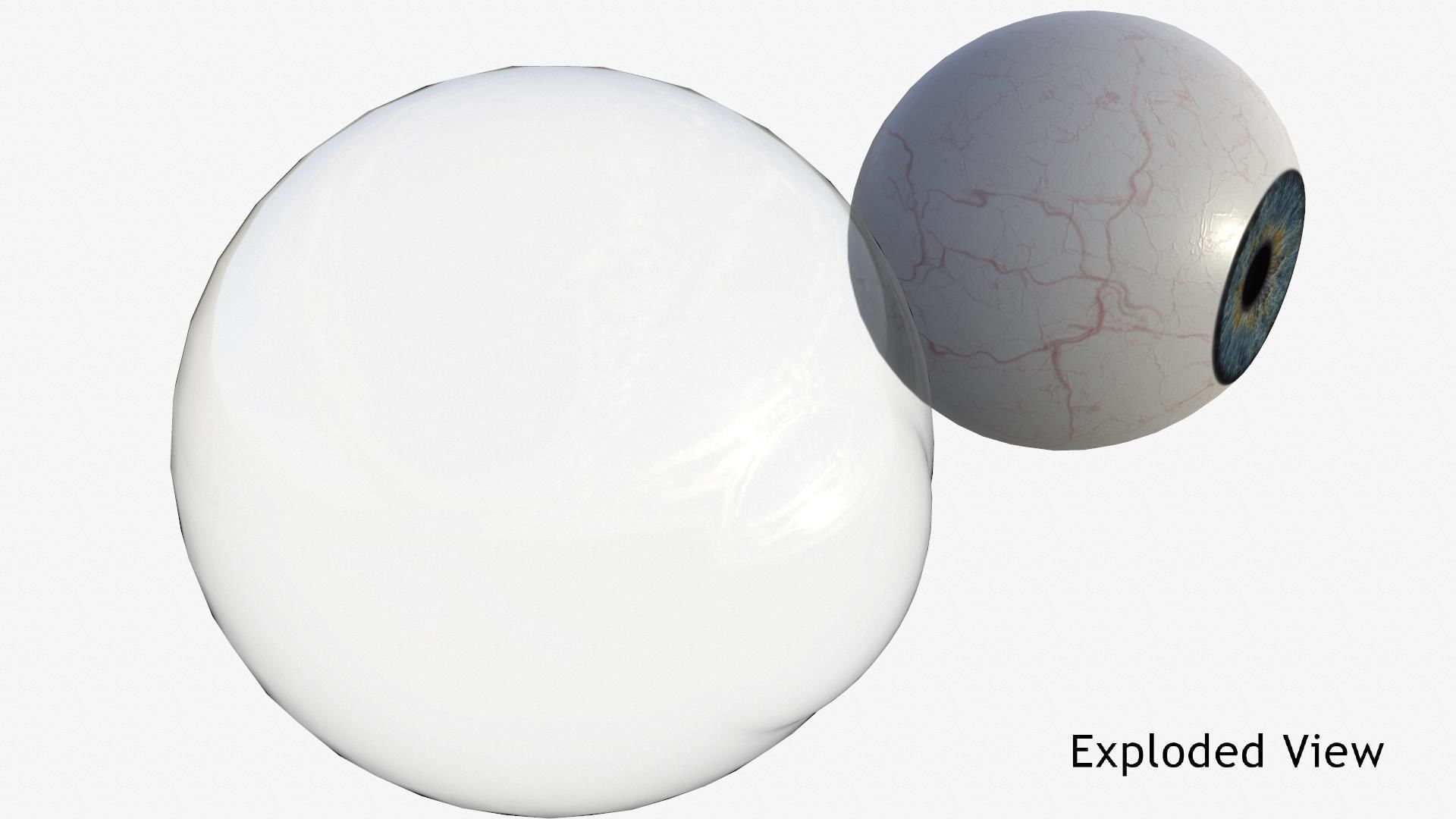 Human Eye Low-poly 3D model_20