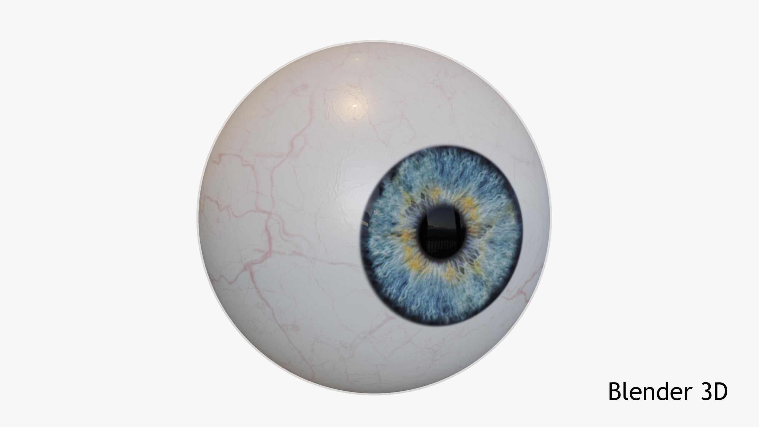 Human Eye Low-poly 3D model_7