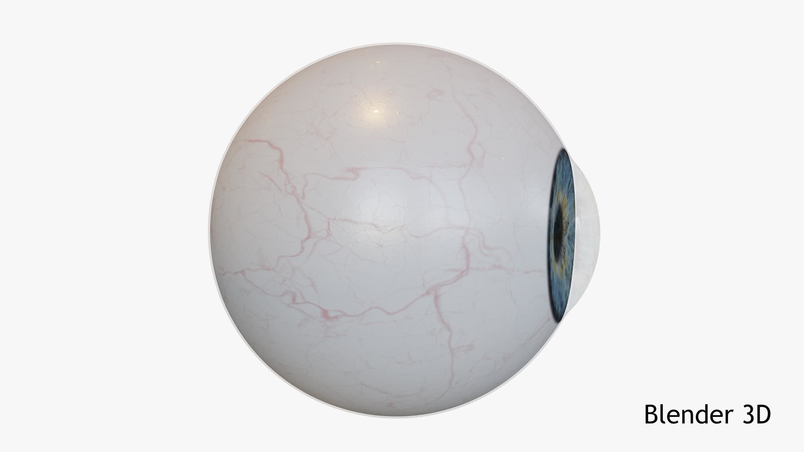 Human Eye Low-poly 3D model_8