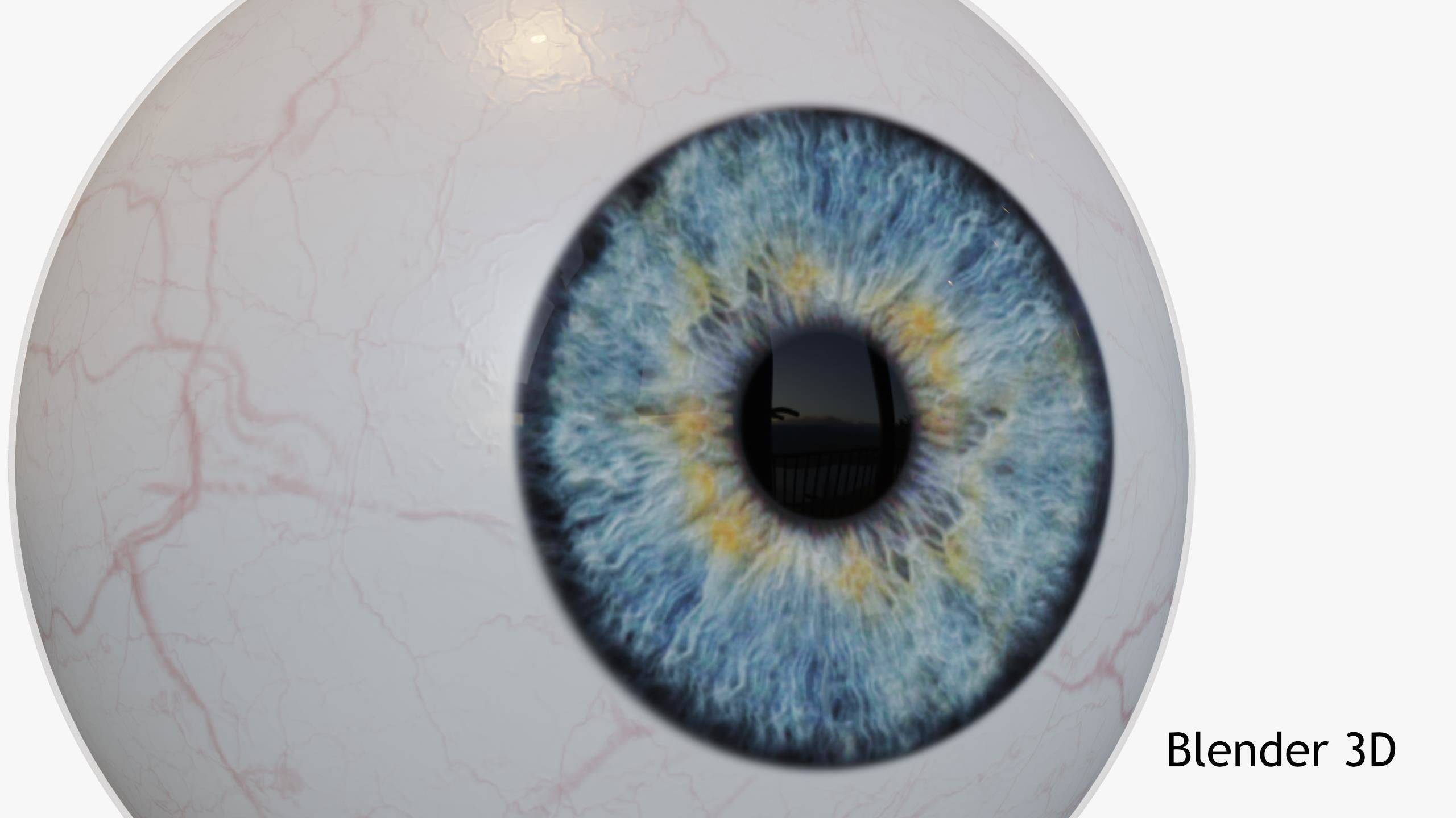 Human Eye Low-poly 3D model_9