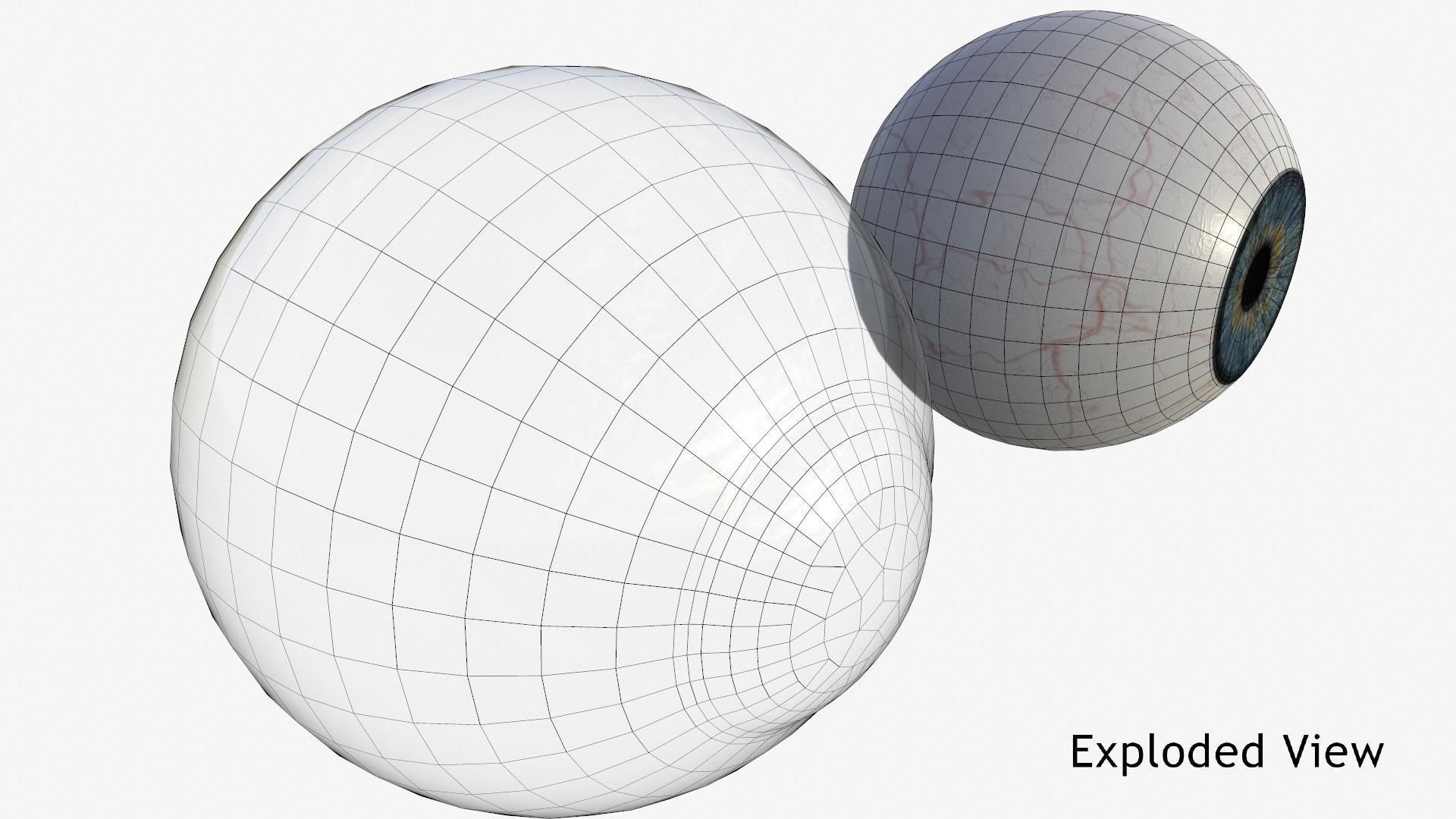 Human Eye Low-poly 3D model_21