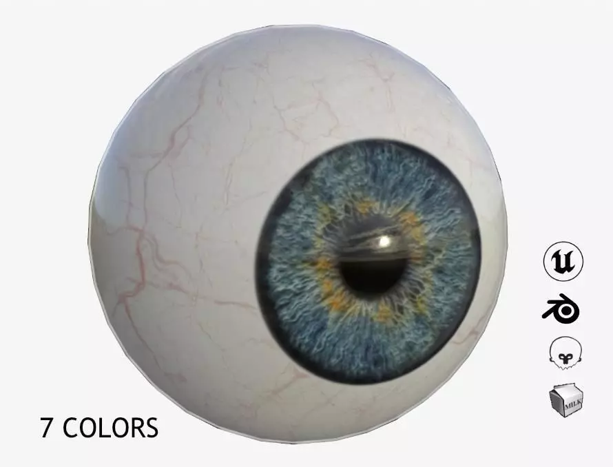 Human Eye Low-poly 3D model_0