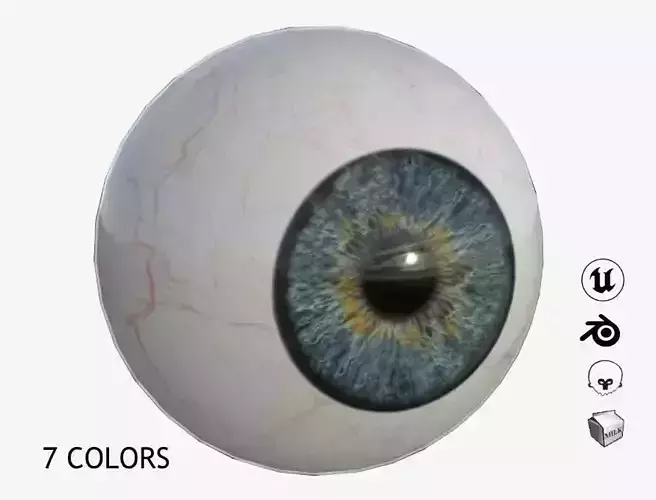 Human Eye Low-poly 3D model