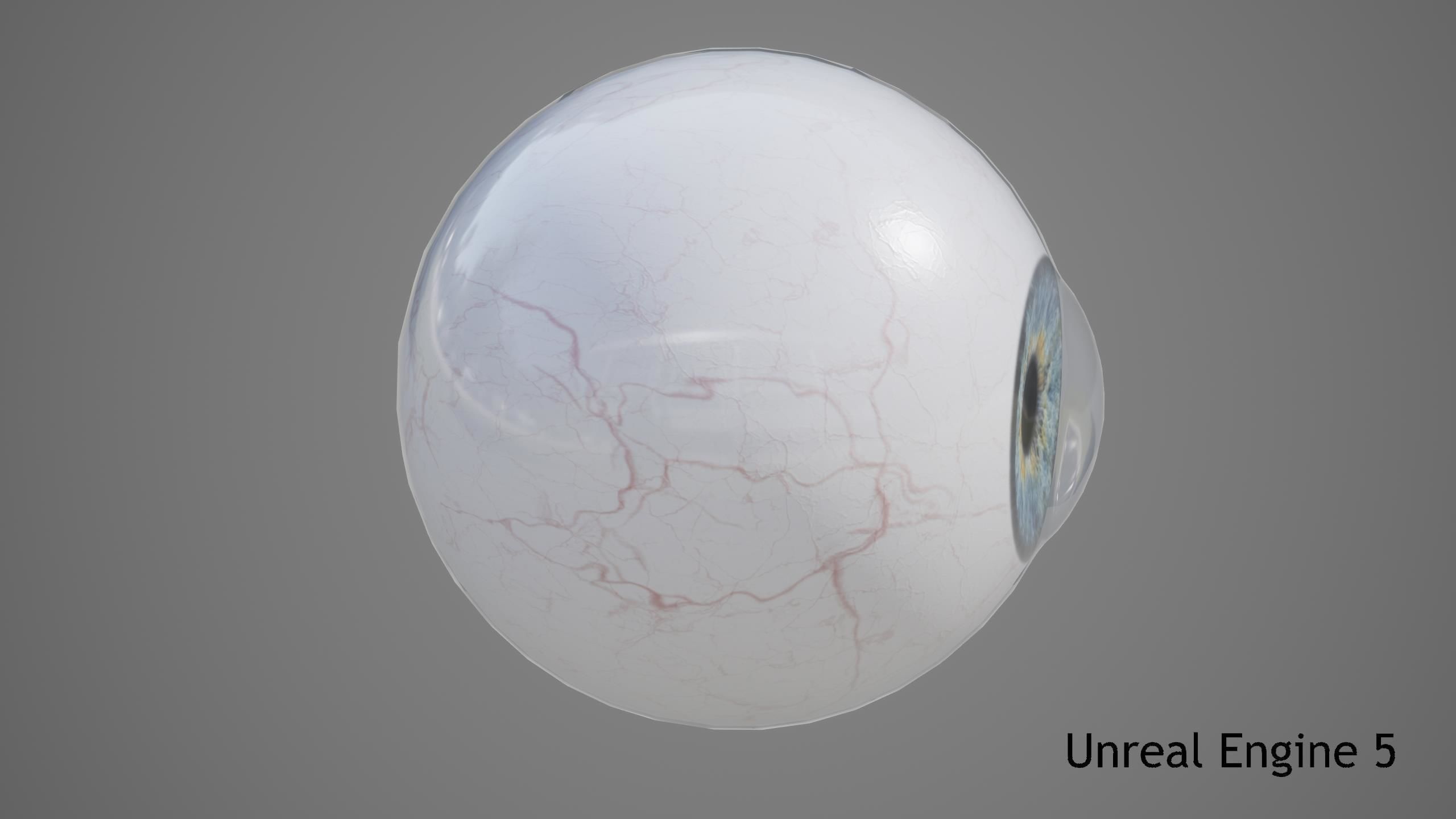 Human Eye Low-poly 3D model_15