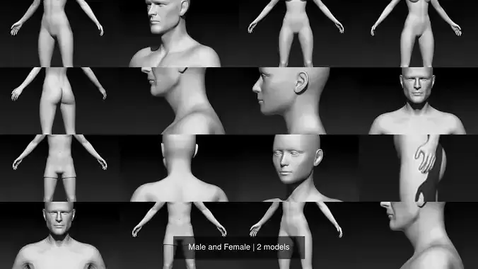 Male and Female base mesh pack