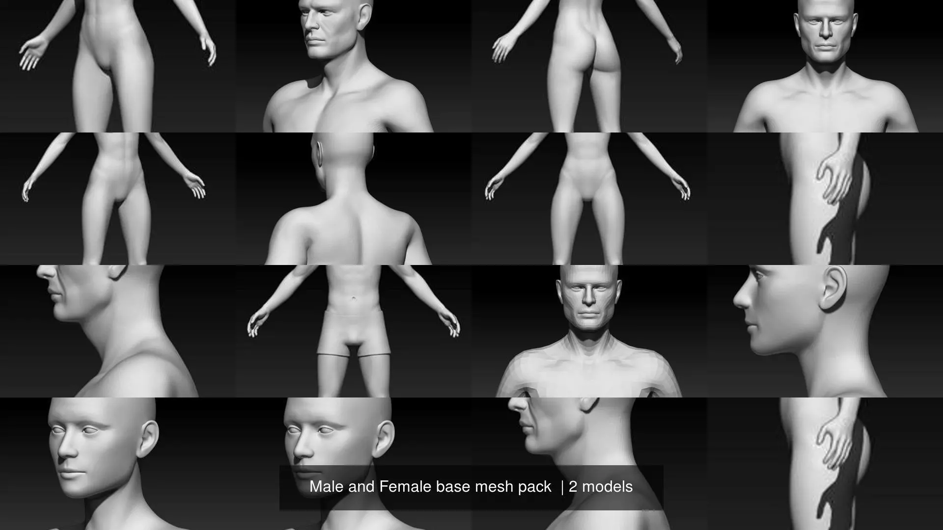 Male and Female base mesh pack 3D Model Collection_1