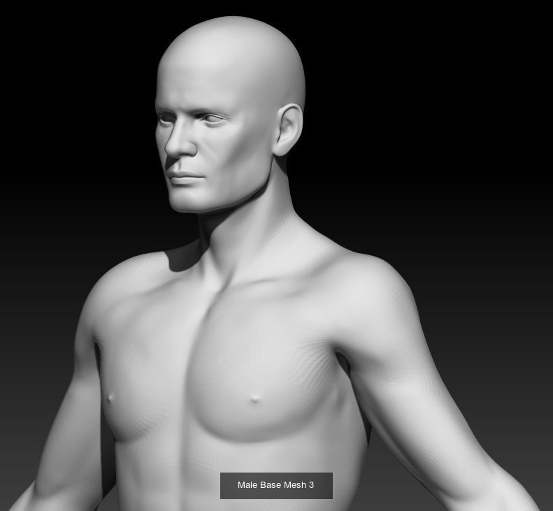 Male and Female base mesh pack 3D Model Collection_2